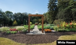 White House Kitchen Garden, 2021.