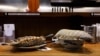 Taiwan Restaurant Serves Giant Isopod Noodles 