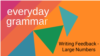 Writing Feedback: Large Numbers 