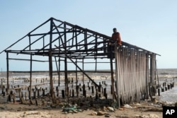 A man salvages wood from a damaged stilt house following a coastal erosion in Ayetoro, Southwest Nigeria, Friday, April 5, 2024. (AP Photo/Dan Ikpoyi)