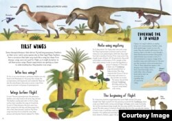 "When Dinosaurs Conquered The Skies," was written by Jingmai O’Connor, illustrated by Maria Brzozowska, and designed by Karen Hood, copyright © 2022. (Reproduced by permission of the publisher, words & pictures, an imprint of The Quarto Group, Beverly, MA.)