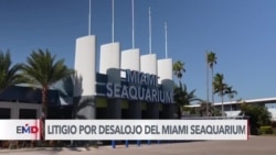 EEUU: Disputa a las puertas del acuario de Miami tras orden de desalojo 