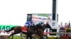 'Beating a Dead Horse' Is Pointless
