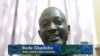 Wani ‘Dan Jarida Mai Sharhi, Bode Gbadebo