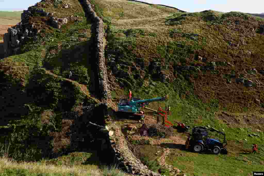 Sections of the Sycamore Gap tree that was felled by a vandal last month, are removed from the area by crane in Northumberland. A much-loved landmark whose dramatic silhouette featured in a Hollywood movie and was photographed by tourists from around the world, was cut down in what police called a "deliberate act of vandalism."