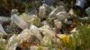 Are the Tiny Plastic Particles in Our Bodies Harmful?