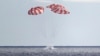 NASA Pleased with Orion Test Flight as Spacecraft Heads Back to Earth