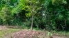 Avoid These Five Gardening Mistakes