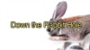 Falling 'Down the Rabbit Hole'