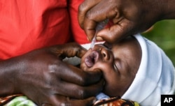 A baby receives a polio vaccine during the Malawi Polio Vaccination Campaign Launch, in Lilongwe Malawi, Sunday March 20, 2022. A drive to vaccinate more than 9 million children against polio has been launched this week in four countries in southern and e
