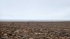 Study: Huge Meteorite Crater in Greenland Much Older than Suspected