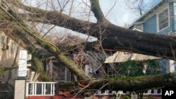 Un árbol se derrumbó y arrancó la acera dañando una casa en Sacramento, California, EEUU, el 8 de enero de 2023.