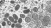 16x9 Image