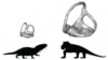 Scientists Study Inner Ear to Determine Beginnings of Mammals