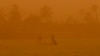 UN Climate Change Conference to Center on Middle East