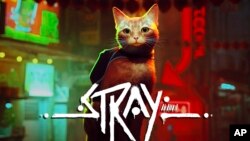 In this image provided by Annapurna Interactive, the "Stray" video game, developed by BlueTwelve Studio and released on July 19, 2022, is seen. (Annapurna Interactive via AP)