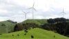 New Zealand May Put Price on Emissions from Cows and Sheep 