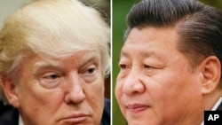 Tổng thống Donald Trump (bên trái) tại Washington, ngày 28/3/2017; và Chủ tịch Trung Quốc Tập Cận Bình tại Bắc Kinh, ngày 22/2/2017.