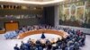 UN General Assembly Security Council