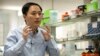 Chinese Scientist Claims First Gene Edited Babies
