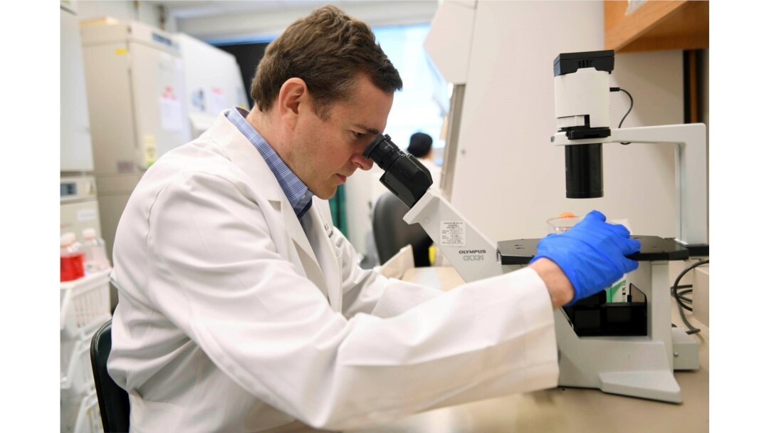 In this Aug. 5, 2019 photo, Dr. Gregory Friedman, a childhood cancer specialist, looks through a microscope at a laboratory in Birmingham, Alabama. (AP photo via University of Alabama)