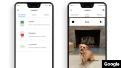Screenshot images show Google Lookout’s modes “Explore,” “Shopping” and “Quick read,” as well as the app identifying a dog in the camera frame. (Google)