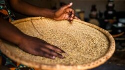 Nigɛr bɛ malo ni sɛnɛfɛn fanba bɔli dabila walasa ka balo lakana a ka sigida suguw la, fo na bora Burkina Faso ani Mali.