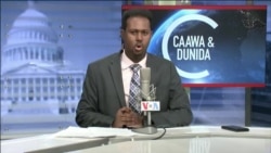Caawa iyo Dunida