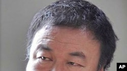 中国知名艺术家艾未未