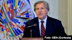 Luis Almagro termina su tuit prometiendo que “En breve concluiré actualización de informe sobre situación en #Venezuela”.