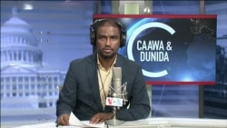 Caawa iyo Dunida