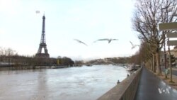 Rising Water in Paris Prompts Authorities to Take Preventative Action Amid Heavy Rain