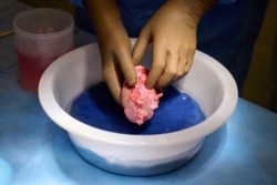 A genetically engineered pig kidney is cleaned and prepared for transplantation to a human at NYU Langone in New York, U.S., in this undated handout photo. (Joe Carrotta for NYU Langone Health/Handout via REUTERS)