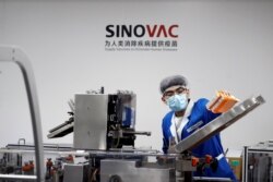 FILE - A man works in the packaging facility of Chinese vaccine maker Sinovac Biotech, developing an experimental coronavirus disease (COVID-19) vaccine, during a government-organized media tour in Beijing, China, September 24, 2020. (REUTERS)