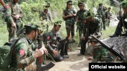 TNLA တပ်ဖွဲ့ (နိုဝင်ဘာ ၂၂၊ ၂၀၁၆)။ သတင်းဓာတ်ပုံ- သတင်းနှင့်ပြန်ကြားရေးဌာန -PSLF/TNLA။
