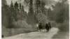 Quiz: America's Presidents: Theodore Roosevelt
