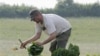 In the Garden: Growing Your Own Lettuce