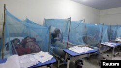 A woman holds her son, suffering from dengue fever, as she sits under a mosquito net inside a dengue ward of a local hospital in Rawalpindi, Pakistan.