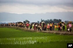 FILE - In this Sept. 1, 2017, file photo, members of Myanmar's Rohingya ethnic minority walk past rice fields after crossing the border into Bangladesh near Cox's Bazar's Teknaf area. (AP Photo/Bernat Armangue, File)