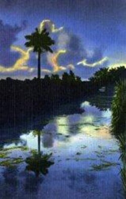 The Everglades at dusk
