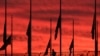 16x9 Image