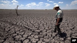The drought in Texas has lingered.