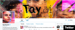 Tay was an artificially intelligent chatbot that appeared to learn some bad ideas from humans.