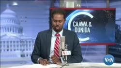 Caawa iyo Dunida