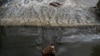 The Bagmati: Nepal’s Holiest, and Dirtiest, River