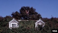 A Nantucket cottage (Carol M. Highsmith)