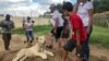 South African Breeders Worried about New Animal Cruelty Guidelines