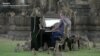 Musician Plays for Monkeys in Thailand 