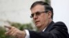 Incoming Mexico Official: Massive Effort Needed to Deal with Migration