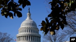 U.S. Capitol Congress